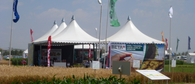 KONYA TARLA GÜNLERİ